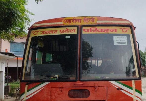 busp (1)