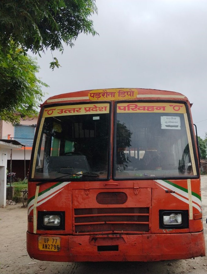 busp (1)